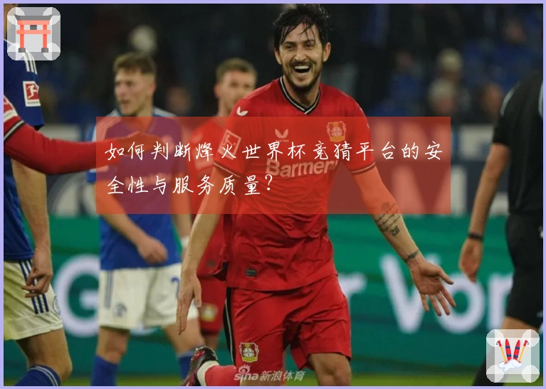 如何判断烽火世界杯竞猜平台的安全性与服务质量？