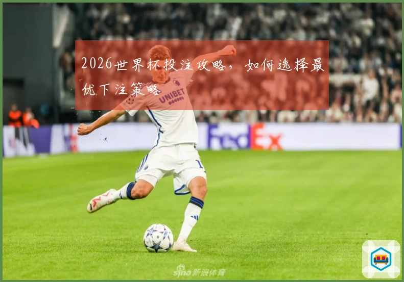 2026世界杯投注攻略，如何选择最优下注策略