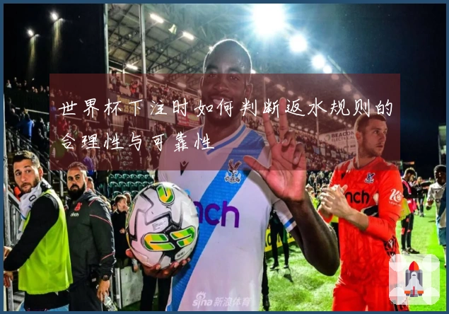 世界杯下注时如何判断返水规则的合理性与可靠性