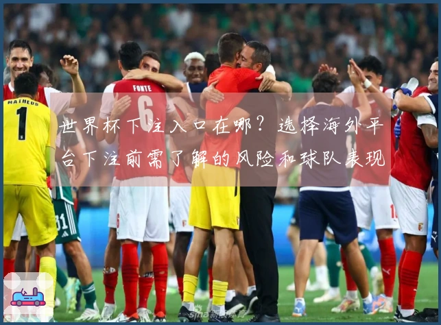 世界杯下注入口在哪？选择海外平台下注前需了解的风险和球队表现分析