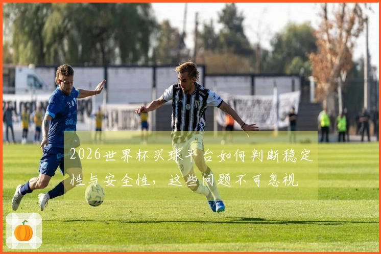 2026世界杯买球平台如何判断稳定性与安全性，这些问题不可忽视