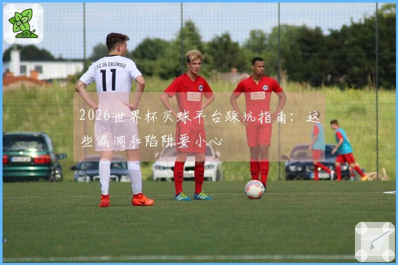 2026世界杯买球平台踩坑指南：这些漏洞和陷阱要小心