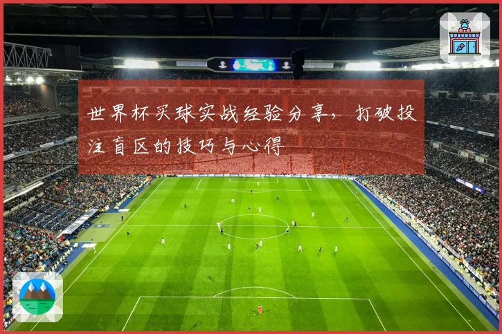 世界杯买球实战经验分享，打破投注盲区的技巧与心得