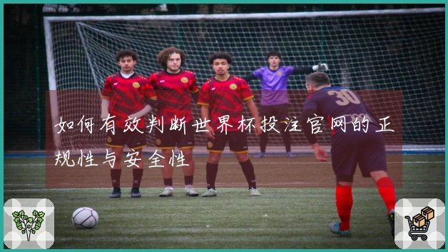 如何有效判断世界杯投注官网的正规性与安全性