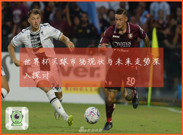世界杯买球市场现状与未来走势深入探讨
