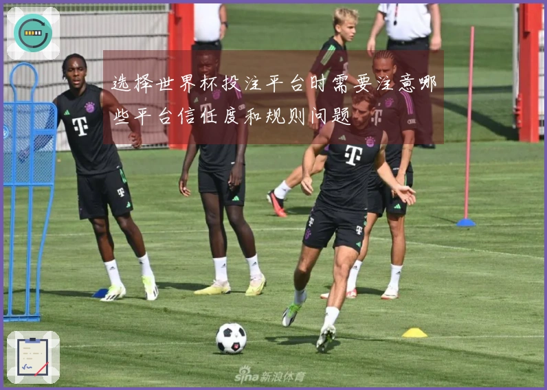 选择世界杯投注平台时需要注意哪些平台信任度和规则问题
