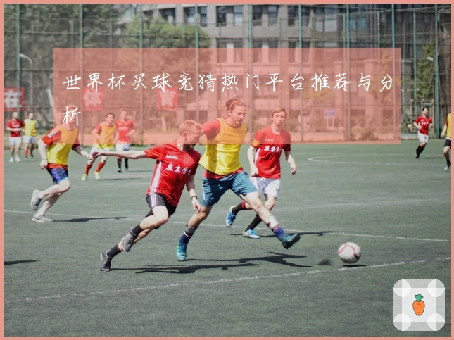 世界杯买球竞猜热门平台推荐与分析