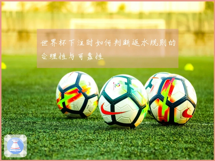 世界杯下注时如何判断返水规则的合理性与可靠性