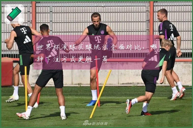 世界杯滚球买球玩法全面对比，哪种下注方式更胜一筹