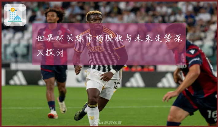 世界杯买球市场现状与未来走势深入探讨