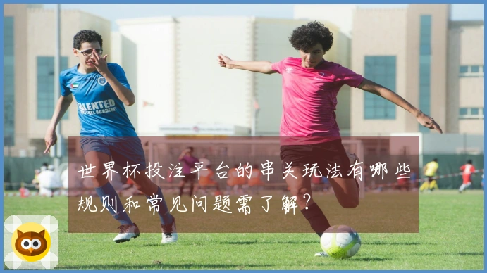 世界杯投注平台的串关玩法有哪些规则和常见问题需了解？