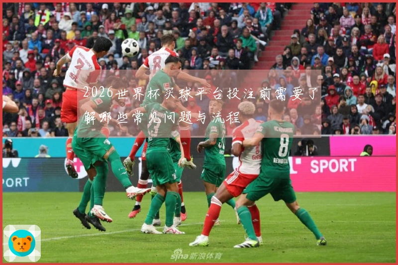 2026世界杯买球平台投注前需要了解哪些常见问题与流程