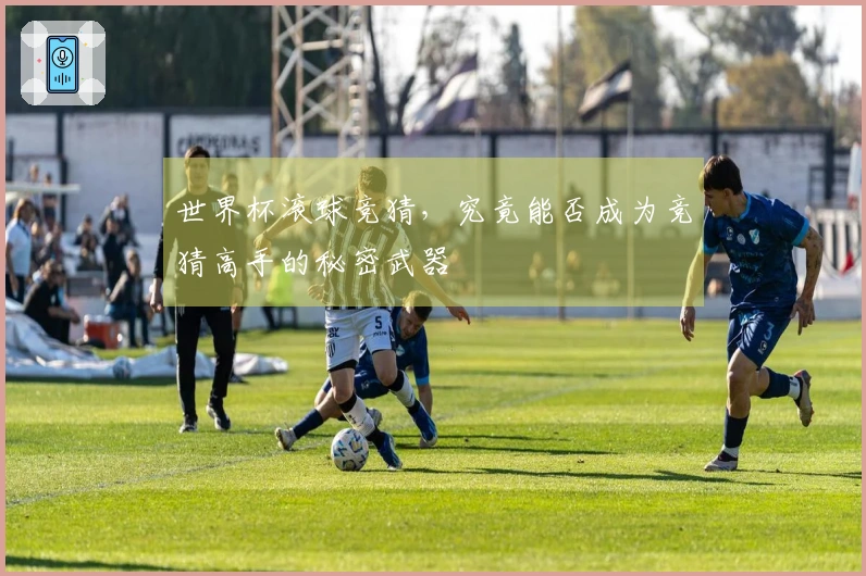 世界杯滚球竞猜，究竟能否成为竞猜高手的秘密武器