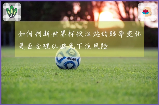 如何判断世界杯投注站的赔率变化是否合理以避免下注风险