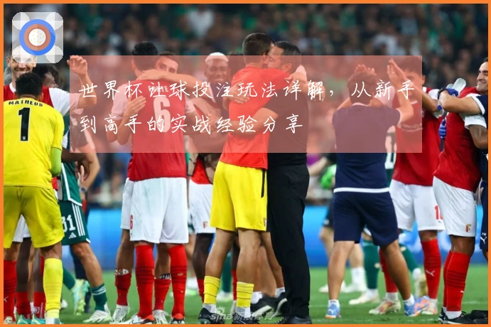 世界杯让球投注玩法详解，从新手到高手的实战经验分享